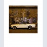 FORD Mustang w